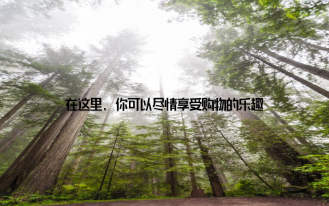 在这里, 你可以尽情享受购物的乐趣