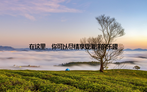 在这里, 你可以尽情享受海洋的乐趣