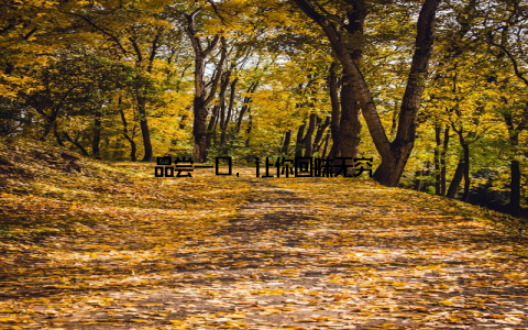 品尝一口, 让你回味无穷