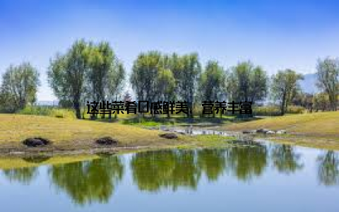 这些菜肴口感鲜美, 营养丰富