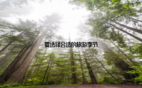 要选择合适的旅游季节