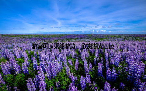 游客可以乘船游览, 欣赏湖光山色