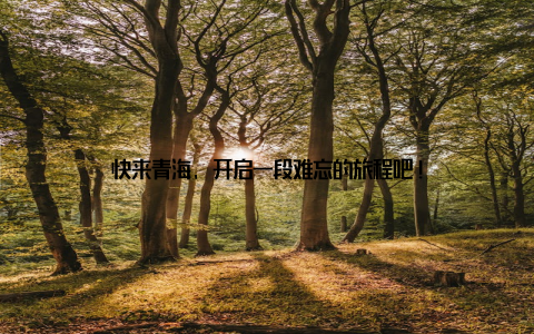 快来青海, 开启一段难忘的旅程吧!