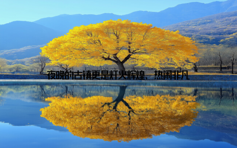 夜晚的古镇更是灯火辉煌, 热闹非凡