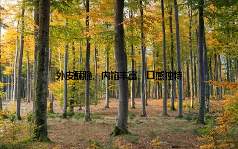 外皮酥脆, 内馅丰富, 口感独特