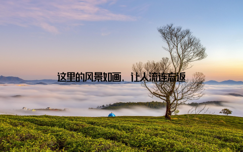 这里的风景如画, 让人流连忘返