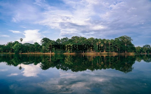 护照原件及复印件 b