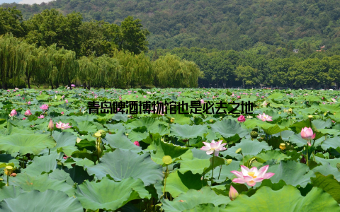 青岛啤酒博物馆也是必去之地