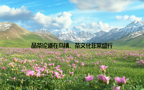 品茶论道在鸟镇, 茶文化非常盛行