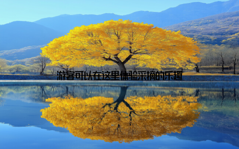 游客可以在这里体验采摘的乐趣