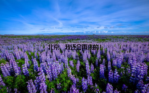 北京, 我还会再来的!