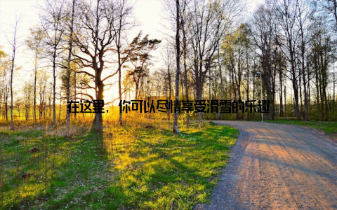 在这里, 你可以尽情享受滑雪的乐趣