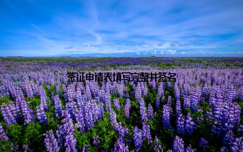 签证申请表填写完整并签名