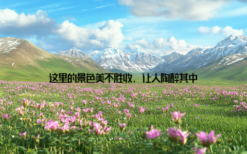 这里的景色美不胜收, 让人陶醉其中