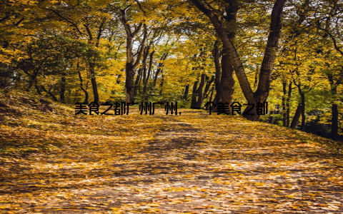 美食之都广州广州, 一个美食之都