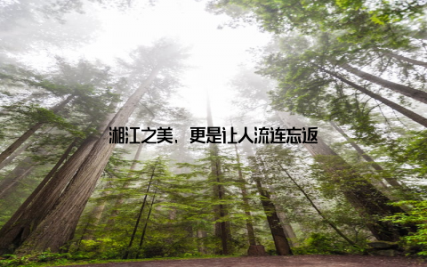 湘江之美, 更是让人流连忘返