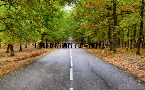 让我们对白酒有了更全面的认识