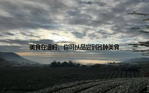 美食在温岭, 你可以品尝到各种美食