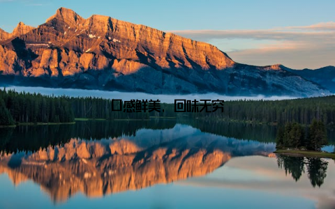 口感鲜美, 回味无穷