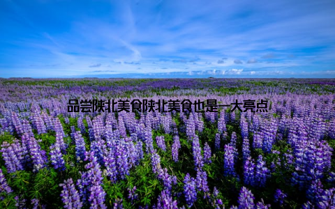 品尝陕北美食陕北美食也是一大亮点