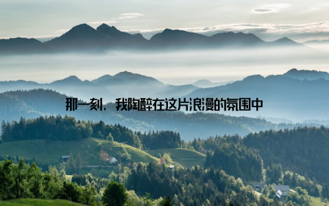 那一刻, 我陶醉在这片浪漫的氛围中