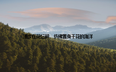 漫步在花坛间, 仿佛置身于花的海洋