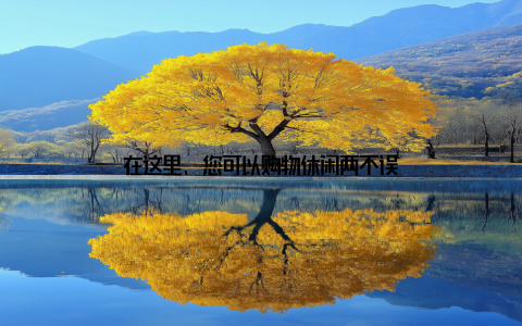 在这里, 您可以购物休闲两不误