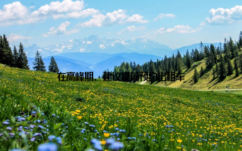 在高峰期, 建议提前预约出租车