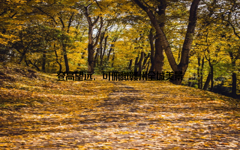 登高望远, 可俯瞰赣州全城美景