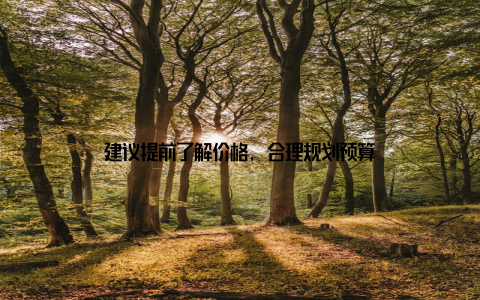 建议提前了解价格, 合理规划预算