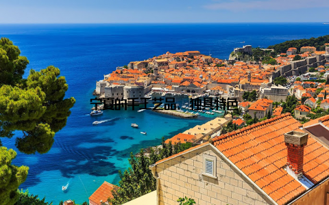 宁夏的手工艺品, 独具特色