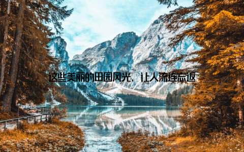 这些美丽的田园风光, 让人流连忘返